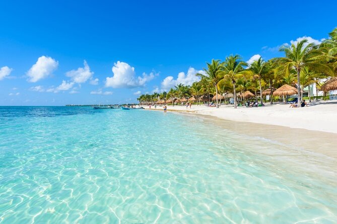 Amazing Adventure in Akumal. Swim with turtles and discover Tulum Ruins. - Price and Value: $139 plus taxes, and what you get back