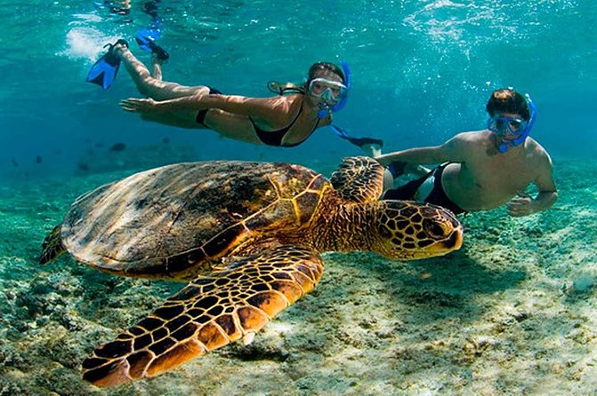 Amazing Adventure in Akumal. Swim with turtles and discover Tulum Ruins. - Tulum Ruins With a Guide: what the 2 hours is really for