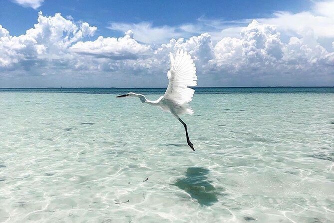 Amazing HOLBOX Full day tour and Cenote swim experience from Cancun! - The real experience: what to expect from the day’s rhythm