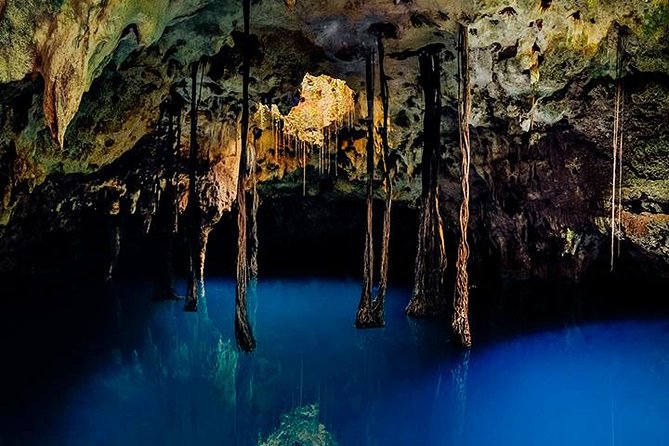 Amazing Mayan Tour Xenotes from Cancun - Adventure Time: Rappel, Zipline, Kayak, and Swimming