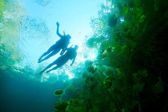 Amazing Mayan Tour Xenotes from Cancun - Gear, Showers, and Small Comforts That Save the Day