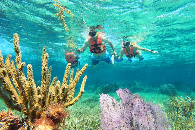 Amazing Snorkeling Experience + Real Mexican Tacos - Key things worth knowing before you go