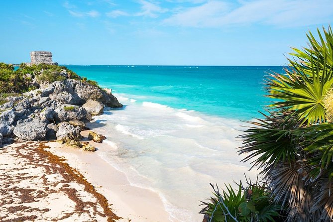 Amazing Tour 4x1 to Coba, Tulum, Cenote & Playa del Carmen. Lunch included - Stop 2: Coba ruins and lunch—when the day depends on opening hours