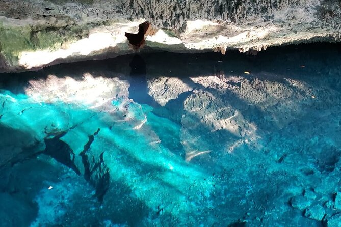 Archaeological Tour in Tulum and Coba with Kuxtal Cenote - Mayan Chocolate and Melipona Village Stop: Make Your Own, Then Eat