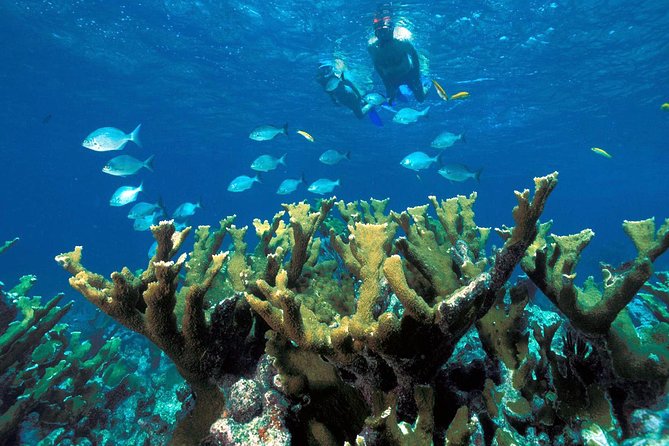 ATV Adventure Combo with Snorkeling, Ziplines, Cenote, and Lunch - Photos, Lockers, and Extra Fees: Where Money Adds Up