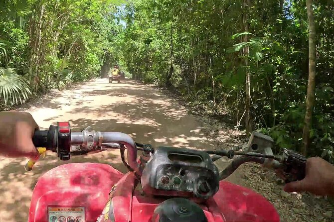 ATV Adventure Tour from Cancun, Playa del Carmen and Riviera Maya - The three interactive bridges: Sky Boarding, Train Line, Monkey Step