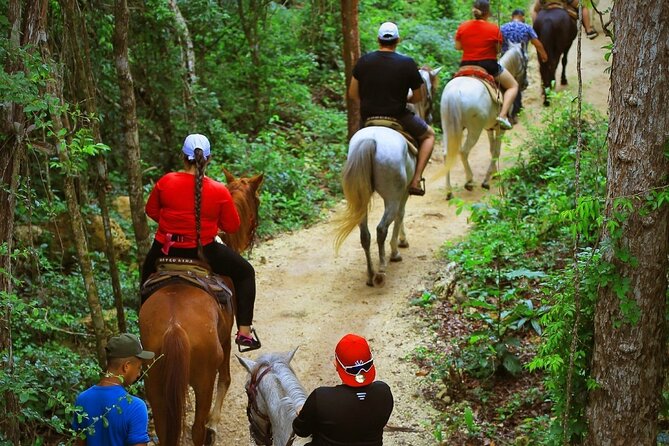 Best ATV & Mavericks Experience in Cancun + Cenote + Zip Lines - Price breakdown: $20 base fare plus park taxes/fees