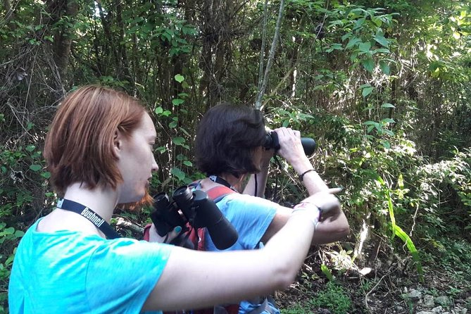 Bird watching ecofriendly tour from Cancun & Riviera Maya - Learning the Habitat: Flora, Fauna, and That Mayan Jungle Context