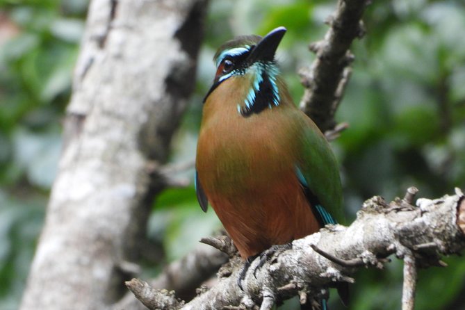 Birds of the Mayan World 1 - What to pack and how to handle the moderate fitness level