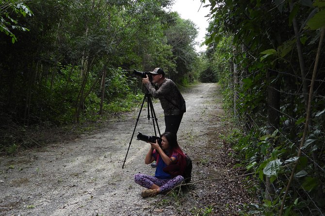 Birds of the Mayan World 2 / Route of the cenotes - The Mayan plant layer: learning habitat with cultural connections