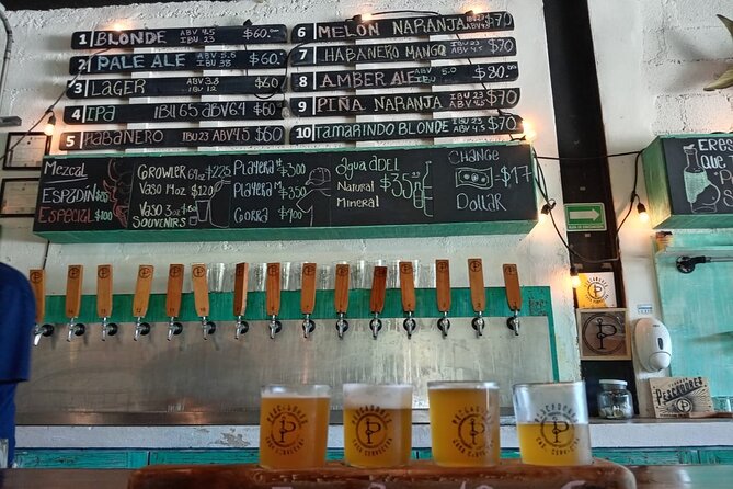 Brewery Tour / Craft Beer Tasting Cancun Mexico - What You’ll Taste: Tropical Fruit, Spices, IPAs, and Dark Beers