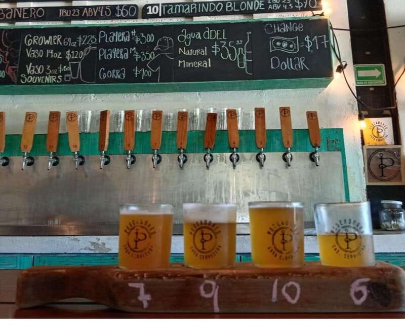 Brewery Tour / Craft Beer Tasting Cancun Mexico - Practical Tips: What to Bring and What to Expect
