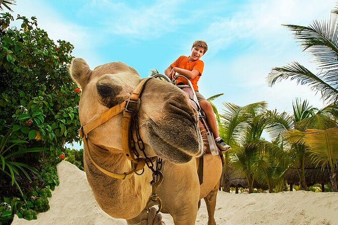 Camel Expedition and Beach Club In Riviera Maya - Pickup and Timing in Cancun and Riviera Maya: How to Avoid Transport Headaches