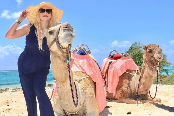 Camel Expedition and Beach Club In Riviera Maya - What the 45-Minute Ride Feels Like (and Why the Photo Rules Matter)