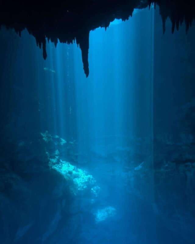 Cancun 2 Cenote Dives: The Pit & Dos Ojos - Certified Divers - Cenote Dos Ojos: second site energy, plus a chance to adjust