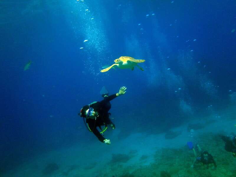 Cancun: 2-Tank Dive for Beginners with MUSA and Reef Dive - Why This Cancun 2-Tank Beginner Day Makes Sense