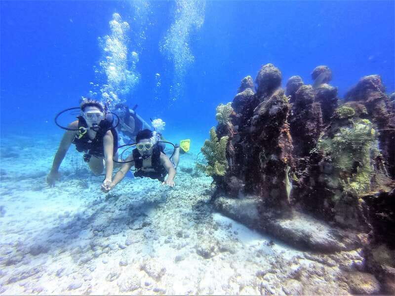 Cancun: 2-Tank Dive for Beginners with MUSA and Reef Dive - Pool Practice: Your Confidence Dry-Run