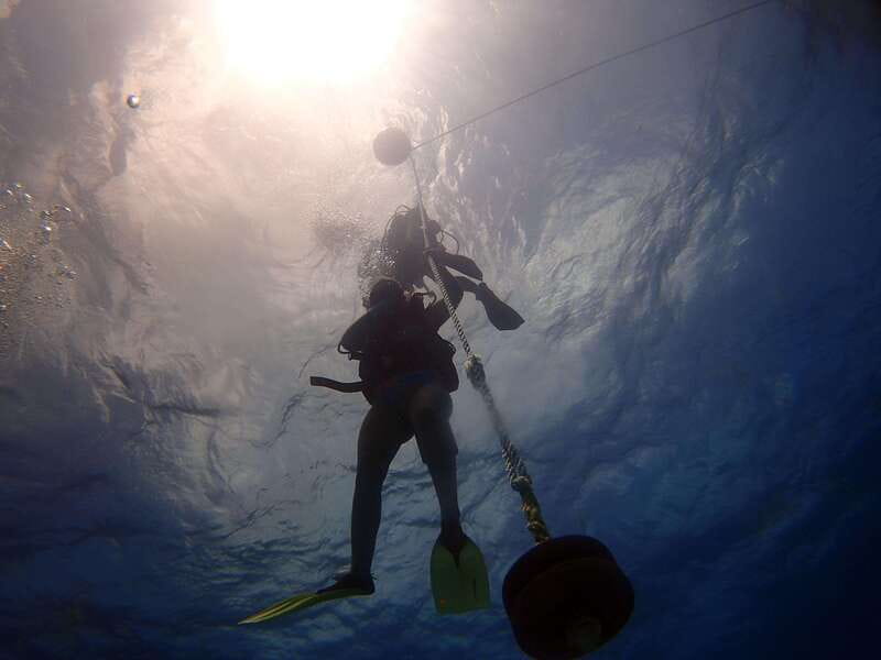 Cancun: 2-Tank Dive for Beginners with MUSA and Reef Dive - Stop Two: The Natural Reef That Usually Delivers the Best Fish Variety