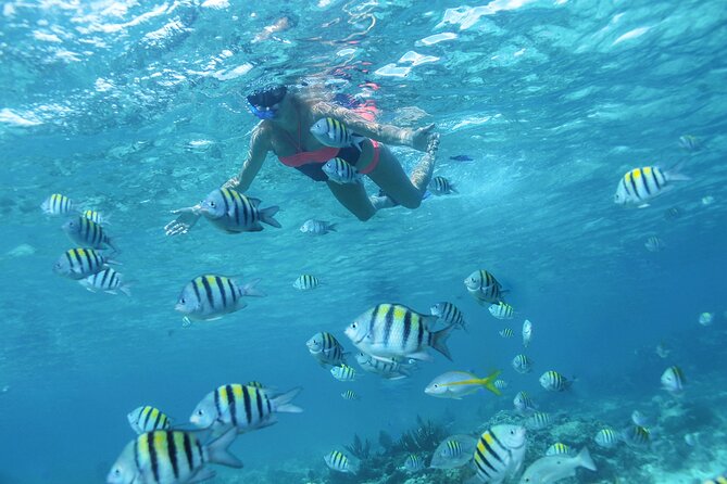 Cancun 4 hour Private Yacht Experience with Lunch and Open Bar Onboard - How the 10 USD docking fee fits into the real budget