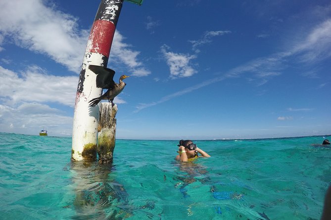 Cancun Adventure: Reef Snorkeling & Parasailing Experience - Parasailing Over the Caribbean and Isla Mujeres