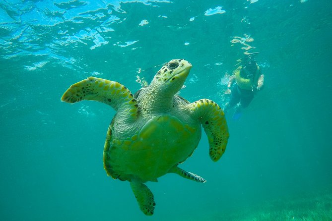 Cancun Adventure: Reef Snorkeling & Parasailing Experience - Weather Rules: When Wind Changes the Day