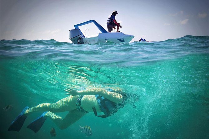 Cancun Adventure Speed Boat Jungle Tour with Transportation - Price value: what $59.99 covers, and what you still need to pay