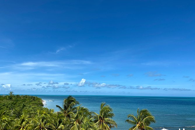 Cancun Airport Shared Shuttle to Holbox Chiquila Port - Boarding and Timing: How the 10-Minute Tolerance Feels in Real Life