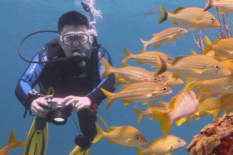 Cancun: Beginner Scuba Diving at Underwater Museum - Who This Tour Fits Best (and Who Should Skip It)