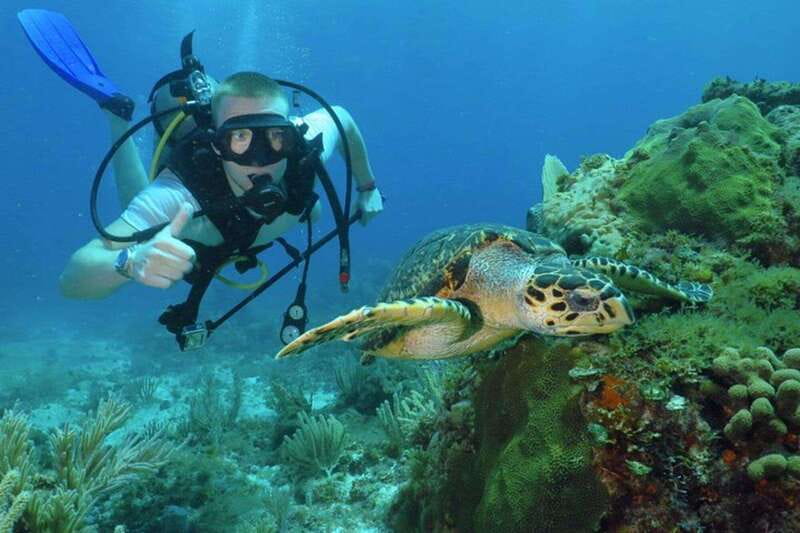 Cancun: Beginner Scuba Diving at Underwater Museum - The Sotavento Meeting Point and the Clean 8:00 to 1:00 Timeline