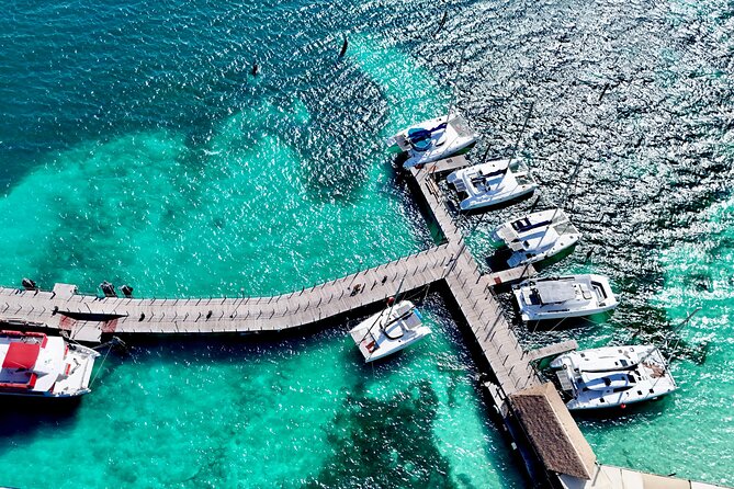 Cancun Catamaran: Isla Mujeres, Snorkeling, Drinks & Buffet Lunch - From Hotel Pickup to Playa Tortugas Marina: Logistics That Matter