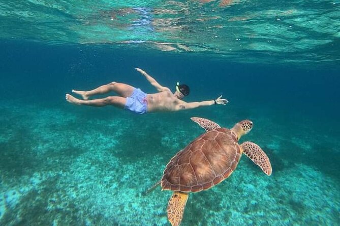 Cancun Catamaran: Sail to Isla Mujeres + Buffet & Drinks - The cruise across Cancun waters: relaxing, not stressful