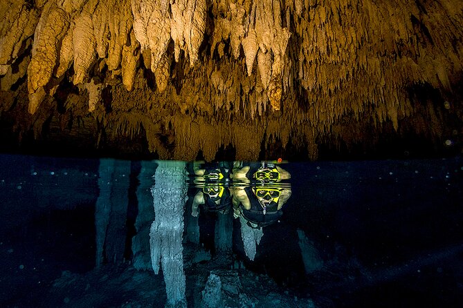 Cancun Cenote Tour: Snorkeling, Rappelling and Ziplining - Jungle transport and the 40-foot rappel into Yaxmuul