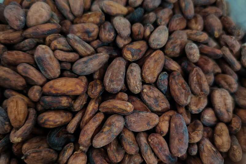 Cancún: Chocolate Making Class and Tasting with Chef - Key things I’d circle before you book