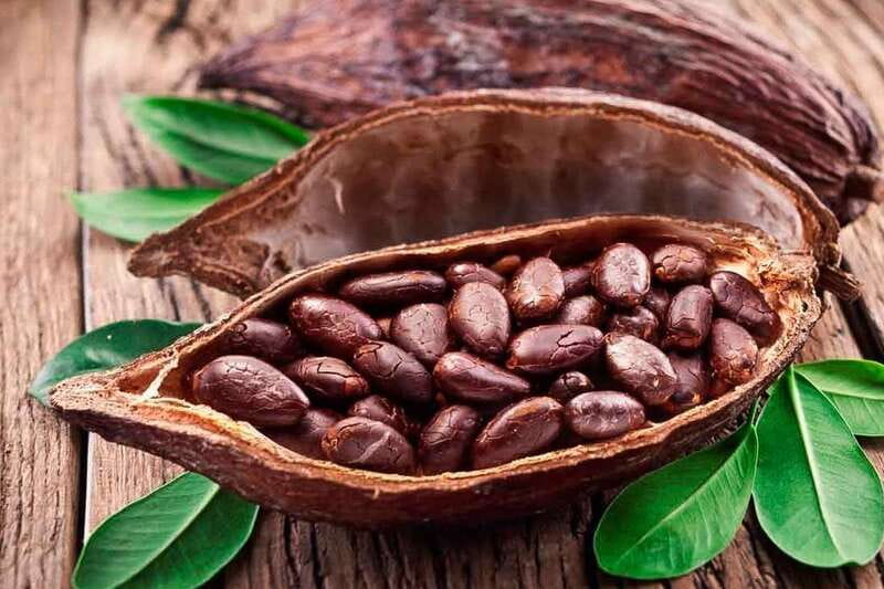 Cancún: Chocolate Making Class and Tasting with Chef - Price and Value: Is $109 Worth It?