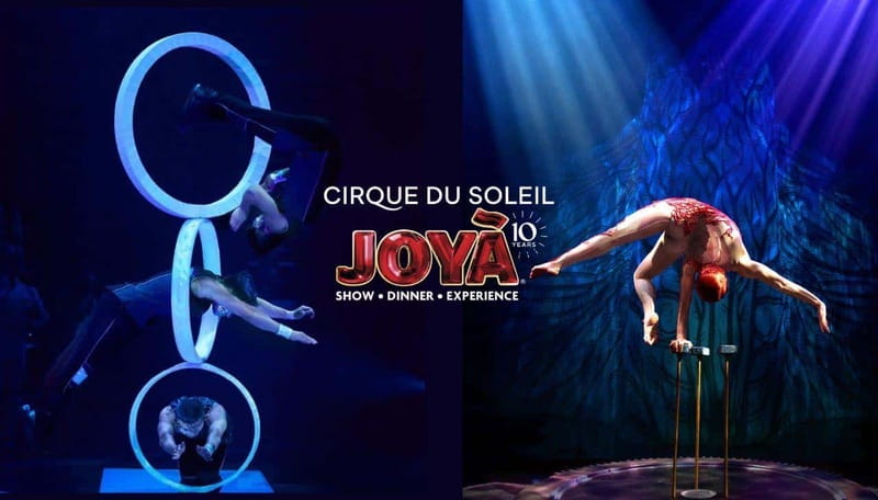 Cancún: Cirque du Soleil JOYÀ Entry Ticket and Transfer - Timing and Timing Again: Transport, Dinner, Show