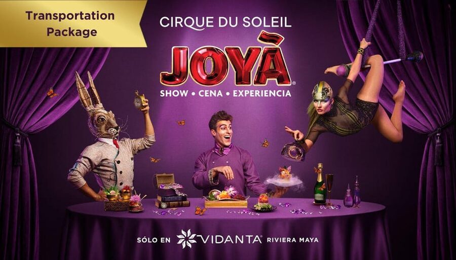 Cancún: Cirque du Soleil JOYÀ Entry Ticket and Transfer - So, is this the right Cirque Night for You?