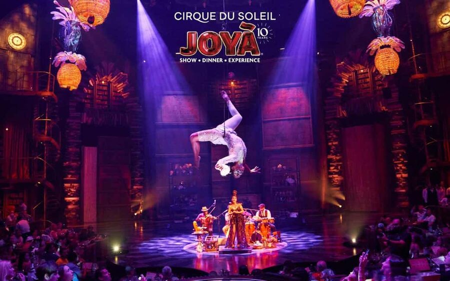 Cancún: Cirque du Soleil JOYÀ Show Ticket - Family Travel and Special Celebrations: Who This Fits Best