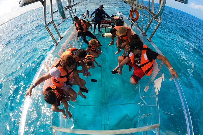 Cancun Clear Boat Tour Explore Nichupte and the Cancun Sea - Should you book Cancun Clear Boat Tour Explore Nichupté and the Cancun Sea?