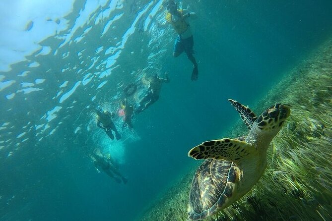 Cancun Combo Adventure: 4 Reef Snorkeling Stops & Parasailing - Who This Tour Is Best For (and Who Might Want to Skip)