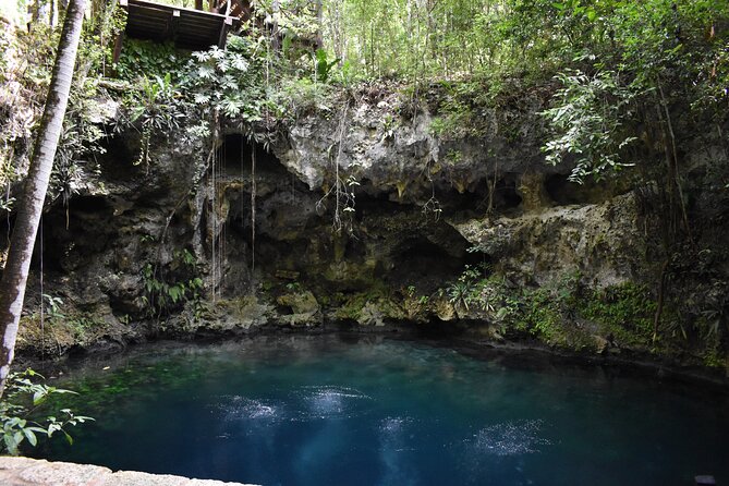 Cancun: Discover the Hidden Treasures: Exploring 3 Jungle Cenotes - Puerto Morelos Cenotes Feel More Like a Day Adventure Than a Long Tour