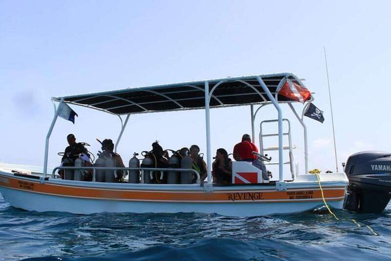 Cancun: Dive Underwater Museum & Manchones Reef - Should You Book This Underwater Museum + Manchones Reef Tour?