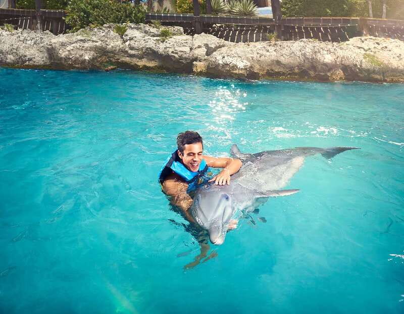 Cancún: Dolphin Encounter on Isla Mujeres with Buffet - Dolphin Discovery: What Happens at the Encounter (and What You’ll Actually See)