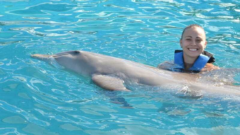 Cancún: Dolphin Encounter on Isla Mujeres with Buffet - Learning About Dolphins: The Specialist Talk Is Part of the Value