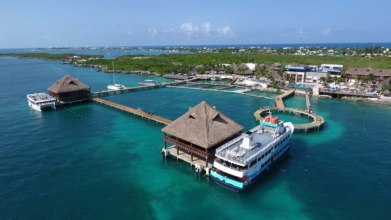 Cancún: Dolphin Encounter on Isla Mujeres with Buffet - Price and Value: What Your $95 Includes (and What It Doesn’t)