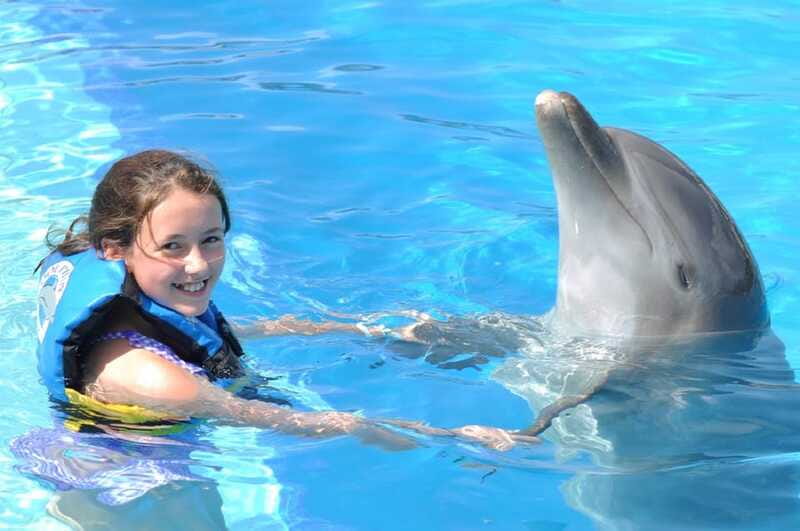 Cancún: Dolphin Encounter on Isla Mujeres with Buffet - What to Bring: The Small List That Prevents Big Delays