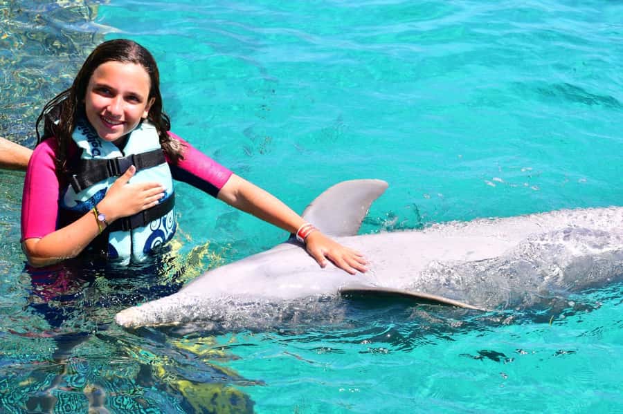 CANCUN: Dolphin Swim Adventure with buffet and soft drinks - Dolphin Discovery Cancun Swim: What Makes It Actually Worth Your Time