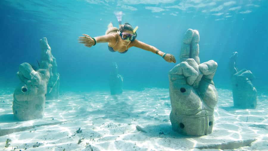 CANCUN: Dolphin Swim Adventure with buffet and soft drinks - The Dolphin Interaction Highlights That Get the Most Love