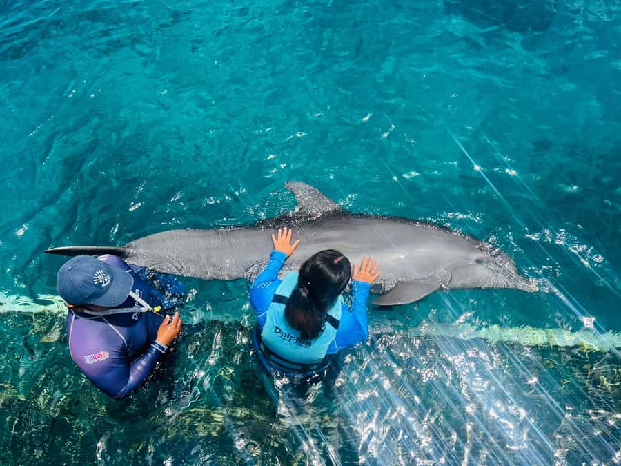CANCUN: Dolphin Swim Adventure with buffet and soft drinks - Who This Dolphin Swim Suits Best (And Who Should Rethink)