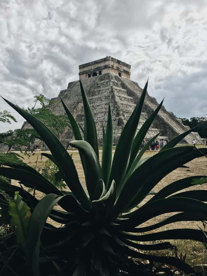 Cancun: Exclusive sunrise at Chichen Itza, expert tour guide - Logistics that matter: heat, walking pace, what to bring