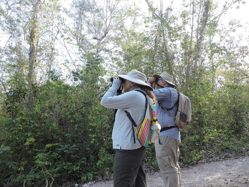 Cancún: Guided Birdwatching Hike - Birdwatching from Cancún, but with real quiet